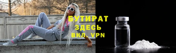 сатива Новозыбков