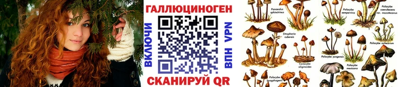 Псилоцибиновые грибы Psilocybine cubensis  Ковров 