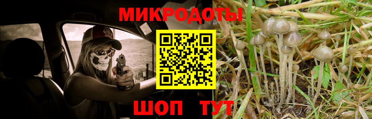 Галлюциногенные грибы MAGIC MUSHROOMS Ковров